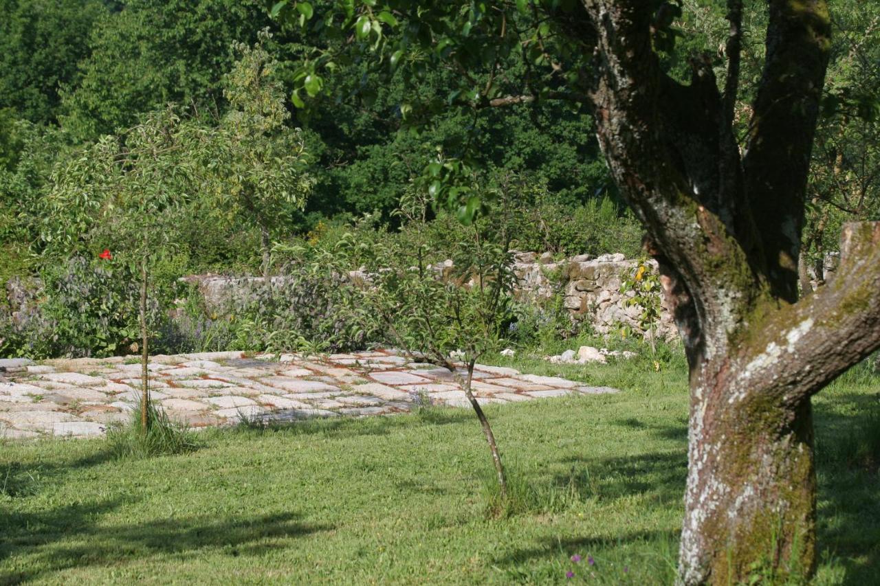 Pazo De Chaioso Ribeira Sacra Maceda Eksteriør bilde