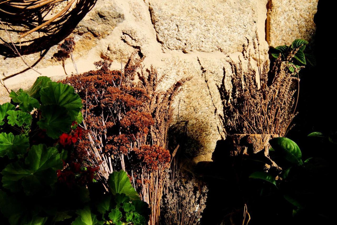 Pazo De Chaioso Ribeira Sacra Maceda Eksteriør bilde